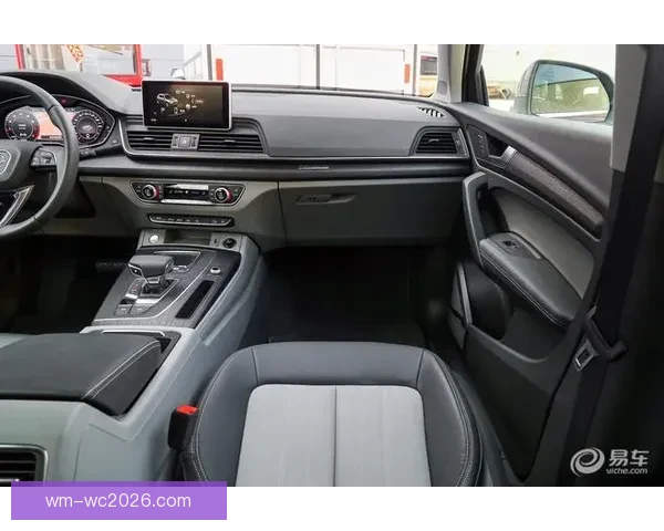 世界杯竞猜盘口深度分析与投注技巧探索