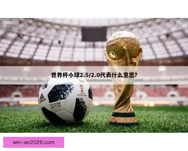 2026世界杯盘口深度解析及热门球队胜负走势预测